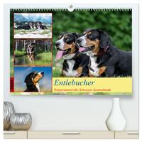 Entlebucher - Temperamentvolle Schweizer Sennenhunde (hochwertiger Premium Wandkalender 2025 DIN A2 quer), Kunstdruck in Hochglanz