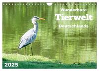 Wunderbare Tierwelt Deutschlands (Wandkalender 2025 DIN A4 quer), CALVENDO Monatskalender