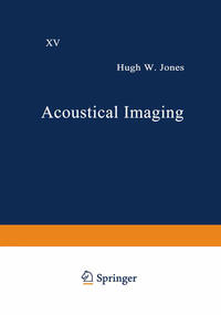 Acoustical Imaging