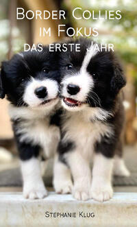 Border Collies im Fokus - das erste Jahr