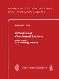 Interfaces in Condensed Systems