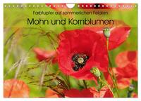 Farbtupfer auf sommerlichen Feldern - Mohn und Kornblumen (Wandkalender 2025 DIN A4 quer), CALVENDO Monatskalender