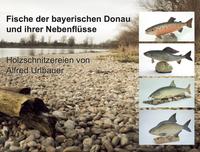 Fische der bayerischen Donau und ihrer Nebenflüsse