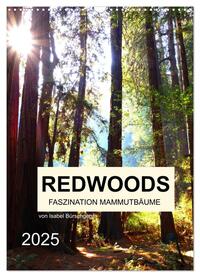 Redwoods - Faszination Mammutbäume (Wandkalender 2025 DIN A3 hoch), CALVENDO Monatskalender