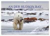 AN DER HUDSON BAY (Wandkalender 2025 DIN A2 quer), CALVENDO Monatskalender