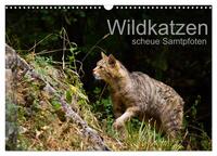 Wildkatzen - scheue Samtpfoten (Wandkalender 2025 DIN A3 quer), CALVENDO Monatskalender