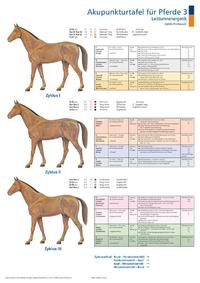 Akupunkturtafel für Pferde 3 + 4