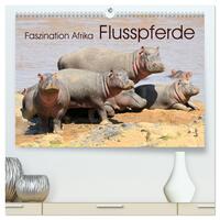 Faszination Afrika: Flusspferde (hochwertiger Premium Wandkalender 2025 DIN A2 quer), Kunstdruck in Hochglanz