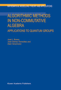 Algorithmic Methods in Non-Commutative Algebra