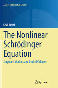 The Nonlinear Schrödinger Equation