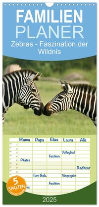 Familienplaner 2025 - Zebras - Faszination der Wildnis mit 5 Spalten (Wandkalender, 21 x 45 cm) CALVENDO