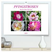 PFINGSTROSEN Rosen ohne Dornen (hochwertiger Premium Wandkalender 2025 DIN A2 quer), Kunstdruck in Hochglanz