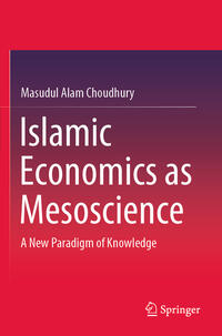 Islamic Economics as Mesoscience