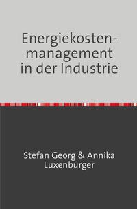 Energiekostenmanagement in der Industrie