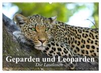 Die Lautlosen. Geparden und Leoparden (Wandkalender 2025 DIN A2 quer), CALVENDO Monatskalender