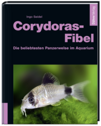 Corydoras-Fibel