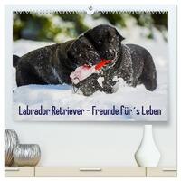 Labrador Retriever - Freunde für´s Leben (hochwertiger Premium Wandkalender 2025 DIN A2 quer), Kunstdruck in Hochglanz