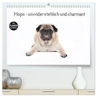 Mops - unwiderstehlich und charmant (hochwertiger Premium Wandkalender 2025 DIN A2 quer), Kunstdruck in Hochglanz