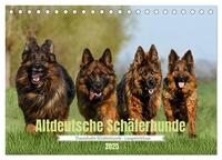 Altdeutsche Schäferhunde - Traumhafte Schäferhunde Langstockhaar (Tischkalender 2025 DIN A5 quer), CALVENDO Monatskalender