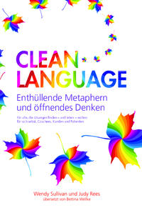 Clean Language - Enthüllende Metaphern und öffnendes Denken