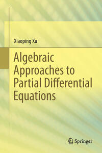 Algebraic Approaches to Partial Differential Equations