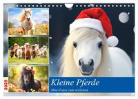 Kleine Pferde. Mini-Ponys zum verlieben (Wandkalender 2025 DIN A4 quer), CALVENDO Monatskalender