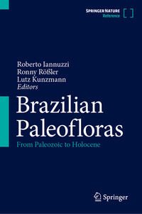 Brazilian Paleofloras