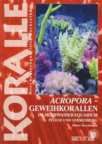 Acropora - Geweihkorallen im Meerwasseraquarium