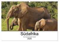 Südafrika - Eine beeindruckende Tierwelt (Wandkalender 2025 DIN A2 quer), CALVENDO Monatskalender