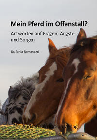 Mein Pferd im Offenstall?