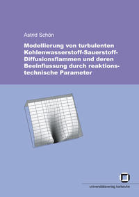 Modellierung von turbulenten Kohlenwasserstoff-Sauerstoff-Diffusionsflammen und deren Beeinflussung durch reaktionstechnische Parameter