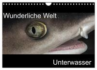 Wunderliche Welt Unterwasser (Wandkalender 2025 DIN A4 quer), CALVENDO Monatskalender