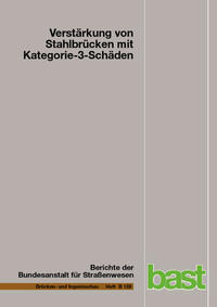 Verstärkung von Stahlbrücken mit Kategorie-3-Schäden