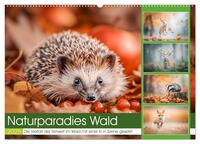 Naturparadies Wald (Wandkalender 2025 DIN A2 quer), CALVENDO Monatskalender