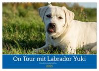 On Tour mit Labrador Yuki (Wandkalender 2025 DIN A2 quer), CALVENDO Monatskalender