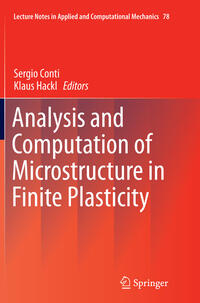 Analysis and Computation of Microstructure in Finite Plasticity