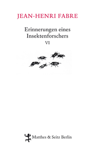 Erinnerungen eines Insektenforschers VI