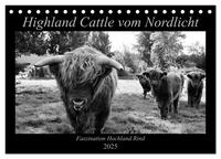 Highland Cattle vom Nordlicht - Faszination Hochland Rind (Tischkalender 2025 DIN A5 quer), CALVENDO Monatskalender