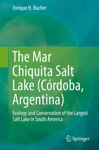 The Mar Chiquita Salt Lake (Córdoba, Argentina)