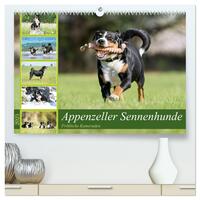 Appenzeller Sennenhunde - Fröhliche Kameraden (hochwertiger Premium Wandkalender 2025 DIN A2 quer), Kunstdruck in Hochglanz