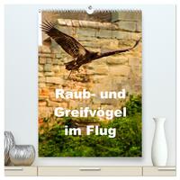 Raub- und Greifvögel im Flug (hochwertiger Premium Wandkalender 2025 DIN A2 hoch), Kunstdruck in Hochglanz