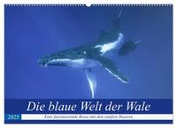 Die blaue Welt der Wale (Wandkalender 2025 DIN A2 quer), CALVENDO Monatskalender