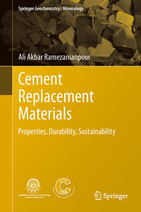 Cement Replacement Materials