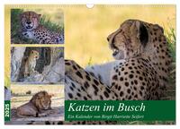 Katzen im Busch (Wandkalender 2025 DIN A3 quer), CALVENDO Monatskalender