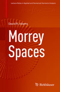 Morrey Spaces