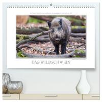 Emotionale Momente: Das Wildschwein. / CH-Version (hochwertiger Premium Wandkalender 2025 DIN A2 quer), Kunstdruck in Hochglanz