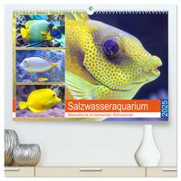 Salzwasseraquarium. Meeresfische im heimischen Wohnzimmer (hochwertiger Premium Wandkalender 2025 DIN A2 quer), Kunstdruck in Hochglanz