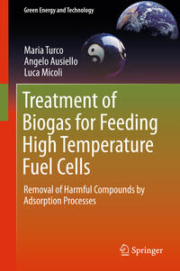 Treatment of Biogas for Feeding High Temperature Fuel Cells