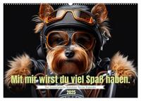 Der humoristische Yorkshire Terrier Kalender (Wandkalender 2025 DIN A2 quer), CALVENDO Monatskalender