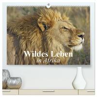 Wildes Leben in Afrika (hochwertiger Premium Wandkalender 2025 DIN A2 quer), Kunstdruck in Hochglanz